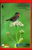 Japan Japon Prepaidkarte    -  Bird Vogel Oiseau - Uccelli Canterini Ed Arboricoli