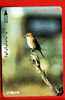 Japan Japon Prepaidkarte    -  Bird Vogel Oiseau - Uccelli Canterini Ed Arboricoli