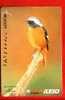 Japan Japon Prepaidkarte    -  Bird Vogel Oiseau - Uccelli Canterini Ed Arboricoli