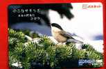 Japan Japon Prepaidkarte    -  Bird Vogel Oiseau - Songbirds & Tree Dwellers