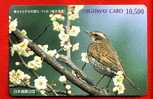 Japan Japon Prepaidkarte    -  Bird Vogel Oiseau - Pájaros Cantores (Passeri)