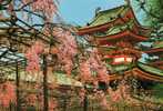 KYOTO (the Heian Jingu Shrine) - Kyoto