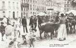 CPA. REPRO. ANIMEE. BORDEAUX. MARCHE AUX ANES SUR LES QUAIS. - Märkte