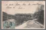 B - CARTE POSTALE - 89 - L ISLE SUR SEREIN - VUE DE LA PASSERELLE SUR LA RIVIERE - - L'Isle Sur Serein