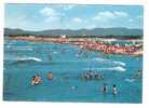 18693)cartolina Illustratoria  Marina Di Massa  - La Spiaggia - Carrara