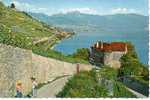 CP - PHOTO - LE LAVAUX - LAC LEMAN - LE CHATEAU DE GLEROLLES PRES RIVAS - 16 - Rolle