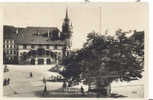 Fribourg L´Hotel De Ville Et Le Tilleul De Morat Ed Phototypie Lausanne - Morat