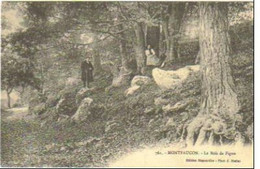 MONTFAUCON EN VELAY  Le Bois De Figon (pliée En Haut A Droite) - Montfaucon En Velay