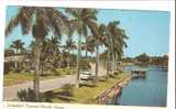 18838)cartolina Illustratoria  Florida - Tropical Delightful - Daytona