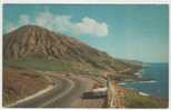 B - CARTE POSTALE - ETATS-UNIS - U.S.A - HAWAI - KOKO CRATER - - Other & Unclassified