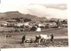 64 - St JEAN DE LUZ  - Vue Sur La Rhune, Quartier Putchuteguia - Animée : Labour à La Charrue Tirée Par 2 Boeufs - Landbouw