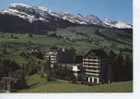 (CH61) WILDHAUS - LISIGHAUS . HOTEL ACKER MIT CHURFIRSTEN - Wil