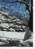 (CH62) WENGEN . WINTERSPORTZENTRUM MIT JUNGFRAU UND BREITHORN - Port