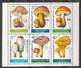 BULGARIA / BULGARUE ~ 1987 - Champignons - PF Obl. - Used Stamps