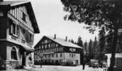 01 - AIN : CPSM   Année1955 Col De La Faucille,  Animée, Douane Française  .douanier Hôtel Voiture Ancienne - Douane