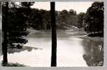 Jolie CP Photo 78 Montfort L'Amaury L'Etang Des Morus - Ed AP N° 539 - CAD 8-08-1952 - Montfort L'Amaury