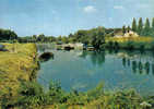 Carte Postale   80.  Péronne  Le Cam  Un Joli Coin De Pêche Trés Beau Plan - Peronne