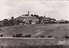 Vignes Coteau De Chatillon - Châtillon-sur-Marne