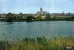 Carte Postale   80.  Péronne  Les étangs De La Somme Joli Coin De Pêche Trés Beau Plan - Peronne