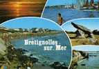 BRETIGNOLLES - Bretignolles Sur Mer