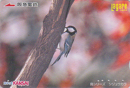 Carte Prépayée Japon - Animal - OISEAU - MESANGE - TIT Bird Japan Prepaid Card - MEISE Vogel Lagare Karte - Passereaux