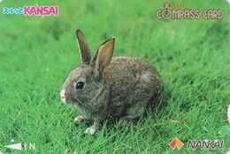 Carte Prépayée Japon - ANIMAL - LAPIN - RABBIT Japan Prepaid Compass Nankai Card - KANINCHEN - KONIJN - CONEJO - 128 - Lapins