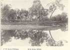 Albury,river Scene - Other & Unclassified