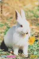 Rare Carte Prépayée JAPON - ANIMAL LAPIN ** SERIE 99 ** - RABBIT JAPAN Prepaid Lagare Card - KANINCHEN  - CONEJO - 147 - Conejos