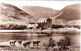 KILCHURN CASTLE Loch Awe - REAL PHOTO - Argyllshire - SCOTLAND - Argyllshire