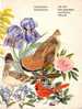 ETATS UNIS-ALBUM THEMATIQUE SUR LES OISEAUX 24TP - Collections