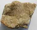 CALCITE - Landelies - Belgique  --T - Minerales