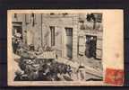 79 BRIOUX Cavalcade 1906, Char Des Grenouilles, Carnaval, Beau Plan, Ed ?, 1907 - Brioux Sur Boutonne