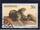 RB+ Botswana 1987 Mi 418 Kap-Klippschliefer - Botswana (1966-...)