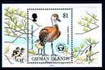 (04) Cayman Isl. / Caiman  Birds Sheet / Bf / Bloc Oiseaux / Vögel / Vogels  ** / Mnh  Michel BL 19 - Cayman (Isole)