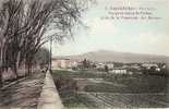 Delcampe - Carte 1905 CARPENTRAS - VUE PANORAMIQUE Du Ventoux Prise De La Promenade Des Platanes - Carpentras