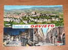 Terni - Orvieto Saluti VG 1963 Colori - Terni
