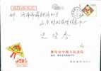 Beijing Olympic Games Mascot Kite  ,    Prepaid Cover   , Postal Stationery - Zomer 2008: Peking