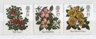 Great Britain UK Gran Bretagna GB 1991 - ROSES, Rose, FLOWER Fiore - 3 V. Mnh ** - Rosas