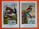 FRANCE Série D'oiseaux De 1960 - N°1273/1276 Sur 4 Cartes Maxima. Superbe - Verzamelingen, Voorwerpen & Reeksen