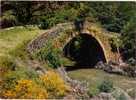 CPSM - VILLEFRANCHE DE ROUERGUE - Le Pont De Cayla - Coul - Déb 80 - - Villefranche De Rouergue