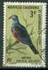Nouvelle Calédonie 1966, Yv. 332, Pigeon  - Dove - Paloma - Columbiformes