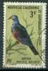 Nouvelle Calédonie 1966, Yv. 332, Pigeon  - Dove - Paloma - Pigeons & Columbiformes