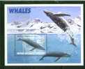 British Antarctic Territory. 1996. Humpback Whale. MNH SS. SCV = 9.50 - Ballenas