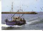 BATEAU De PECHE -   N° 913 PP - Fishing Boats