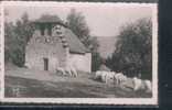 HAUTES PYRENEES - Argelès : Chapelle De ND De Castère - Argeles Gazost