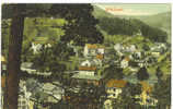 WILDBAD GERMANY Panoramic Birdseye OF TOWN Homes & SURROUNDS Circa - 1910 - Hochschwarzwald