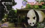 Télécarte Chine - Animal - PANDA - Pandabär Telefonkarte Phonecard - 90 - Cina