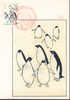 1971 Japon  Carte Maximum FDC  Pingouin Penguin Pinguino  Polo Sud Pole Sud South Pole - Pinguïns & Vetganzen
