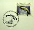 2001 CROATIA CANCELATION ON COVER 90 YEARS SOUTH POLE ROALD AMUNDSEN WHALE - Whales