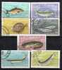 Rumänien; 1960; Michel 1926/33 O; Fische - Used Stamps